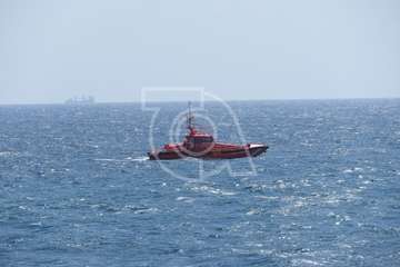 Avistan cetáceos en el mar de La Garita-Telde (Foto TA)